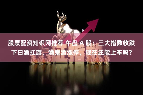 股票配资知识网推荐 午盘 A 股：三大指数收跌下白酒扛旗，酒鬼酒涨停，现在还能上车吗？