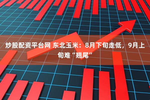 炒股配资平台网 东北玉米：8月下旬走低，9月上旬难“翘尾”