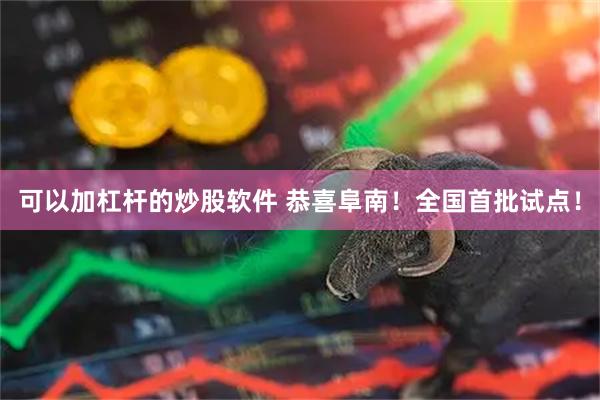 可以加杠杆的炒股软件 恭喜阜南！全国首批试点！