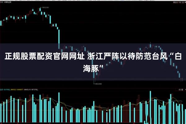 正规股票配资官网网址 浙江严阵以待防范台风“白海豚”